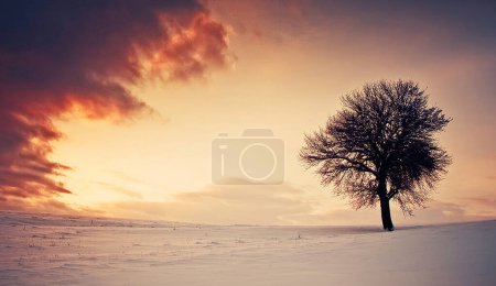 Photo for Beautiful sunset in Romania - Royalty Free Image