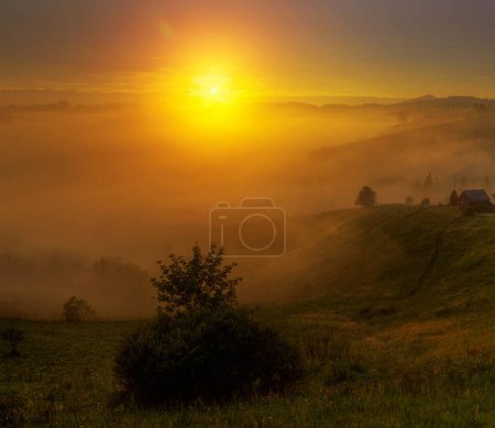 Photo for "Beautiful pictures of Romania" - Royalty Free Image