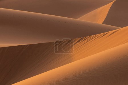 Téléchargez les photos : Bordures naturelles des dunes de sable dans le désert du Sahara, Maroc - en image libre de droit