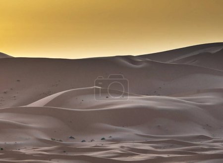 Téléchargez les photos : Contexte naturel du désert du Sahara, Maroc - en image libre de droit