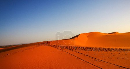 Photo for Travel by Sahara desert, nature of Morocco - Royalty Free Image