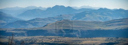 Photo for "scenery at Mt Washburn trail in Yellowstone National Park, Wyoming, USA" - Royalty Free Image