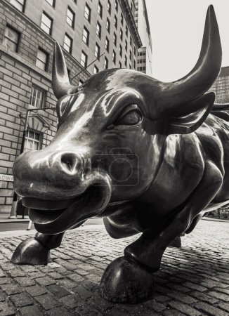 Photo for "Charging Bull in the Financial District in Manhattan" - Royalty Free Image