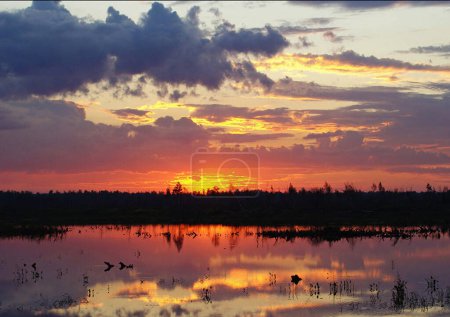 Foto de Beautiful picture of Russia. Nature background - Imagen libre de derechos
