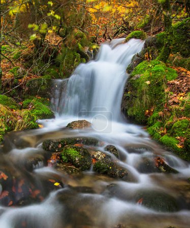 Téléchargez les photos : Forêt d'automne avec cascade, Portugal - en image libre de droit