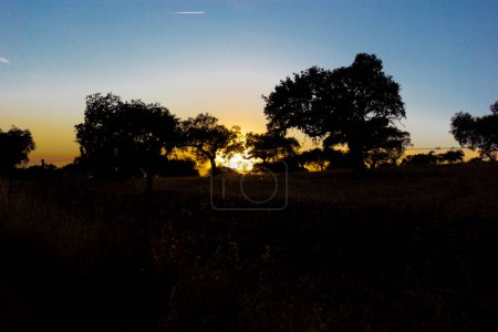 Foto de Puesta de sol retroiluminada, sur de Andalucía, España - Imagen libre de derechos