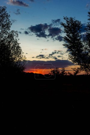 Téléchargez les photos : "Backlit sunset, southern Andalusia, Spain" - en image libre de droit