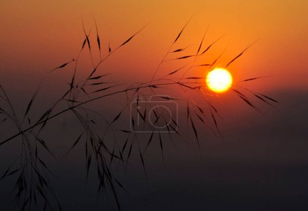 Téléchargez les photos : Fond naturel de la vue coucher de soleil lumineux, Népal - en image libre de droit