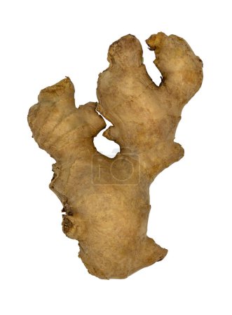 Téléchargez les photos : "Rhizome de gingembre frais isolé sur fond blanc avec chemin de coupe." - en image libre de droit