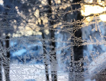 Foto de Rosas de hielo en la ventana hace patrón - Imagen libre de derechos