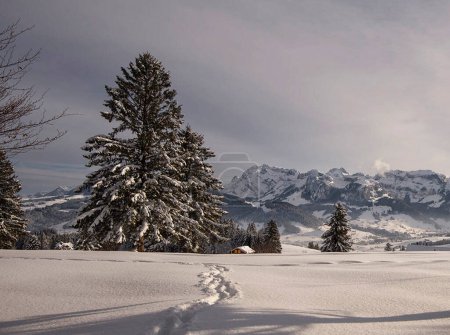 Téléchargez les photos : Montagnes à Appenzell, arrière-plan du concept de nature - en image libre de droit