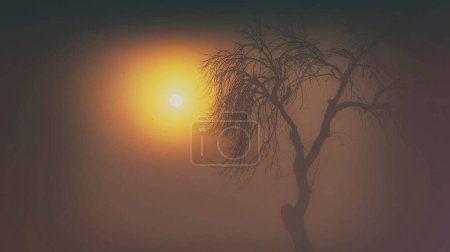 Photo for Scenic shot of beautiful dramatic sunset for background - Royalty Free Image