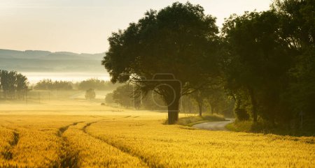 Photo for Beautiful nature landscapes at Hungary - Royalty Free Image
