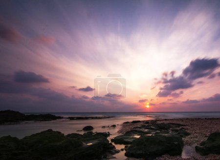 Photo for Beautiful Israel   on nature background - Royalty Free Image