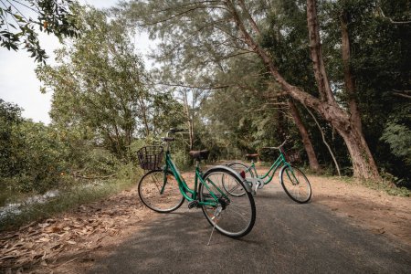 Photo for "A bicycle on road with sunlight and green tree in park outdoor." - Royalty Free Image