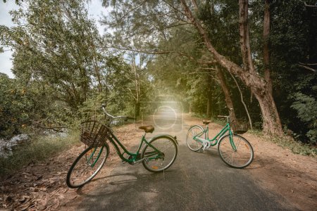 Téléchargez les photos : Vélos sur la route avec la lumière du soleil et des arbres verts dans le parc extérieur - en image libre de droit