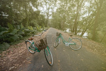 Photo for A bicycle on road with sunlight and green tree in park outdoor. - Royalty Free Image