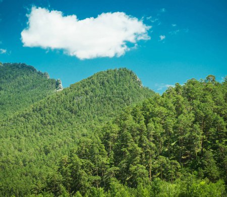 Foto de Paisaje vista de pintorescas montañas verdes, naturaleza de Kazajstán - Imagen libre de derechos