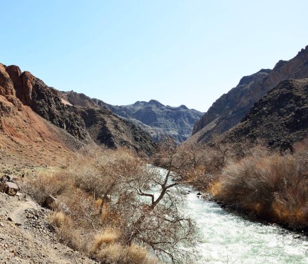 Téléchargez les photos : Fond pittoresque de rivière propre dans les montagnes, Kazakhstan - en image libre de droit