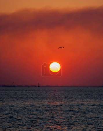 Téléchargez les photos : Coucher de soleil sur la mer d'Arabie, nature au Koweït. - en image libre de droit
