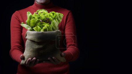 Foto de "Delivery vegetable for healthy" - Imagen libre de derechos