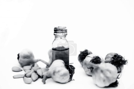 Téléchargez les photos : "Huile d'ail biologique dans une bouteille en verre transparent isolée sur blanc avec des gousses d'ail fraîches et des bulbes d'ail
." - en image libre de droit