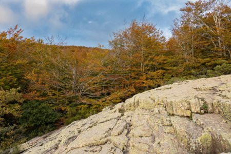 Téléchargez les photos : "Autumn picture from Spanish mountain Montseny" - en image libre de droit