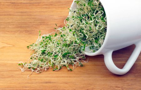 Photo for "Organic young alfalfa sprouts in a cup on a wooden table" - Royalty Free Image