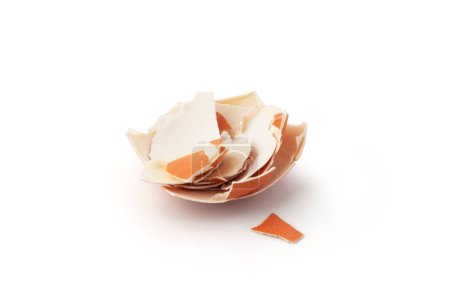 Foto de "restos de huevos cascarón primer plano aislado sobre fondo blanco" - Imagen libre de derechos