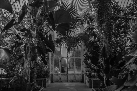 Photo for Beautiful exit door of Palm House at Kew Gardens (Royal Botanic Gardens) - Royalty Free Image