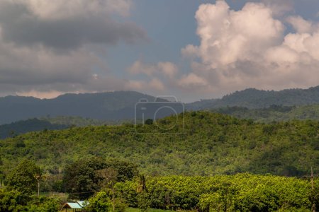 Téléchargez les photos : Green field and walkway in Thailand, Dramatic backdrop of Mountain and blue sky with clouds. - en image libre de droit