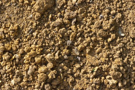 Photo for Detail of dry brown soil from a garden - Royalty Free Image
