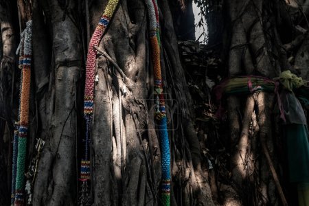 Téléchargez les photos : "Une guirlande de fleurs en plastique et les tissus traditionnels colorés attachés est accroché sur un grand arbre. Les Thaïlandais utilisent des guirlandes pour adorer leur religion ou leurs croyances." - en image libre de droit