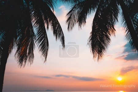 Photo for "Palm tree on the beach" - Royalty Free Image