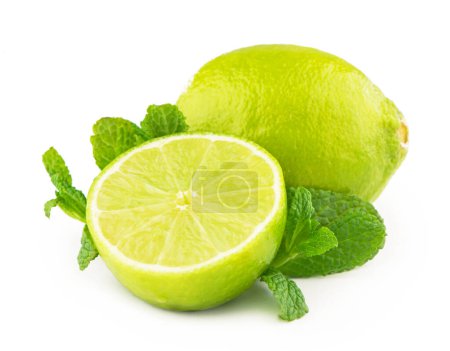 Photo for "Lime and mint isolated on white background." - Royalty Free Image