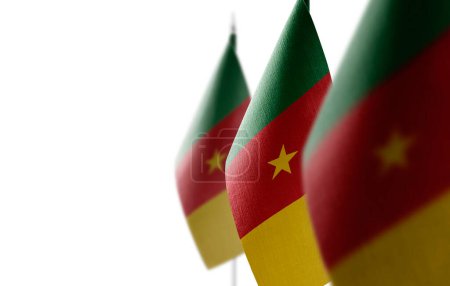 Téléchargez les photos : "Petits drapeaux nationaux du Cameroun sur fond blanc" - en image libre de droit