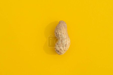 Téléchargez les photos : Cacahuètes dans une coquille avec une ombre dure - en image libre de droit
