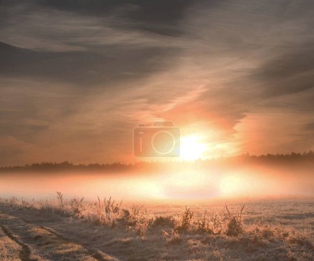 Foto de Belarús Hermoso paisaje natural para el fondo - Imagen libre de derechos