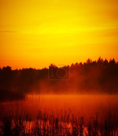 Foto de Belarús Hermoso paisaje natural para el fondo - Imagen libre de derechos