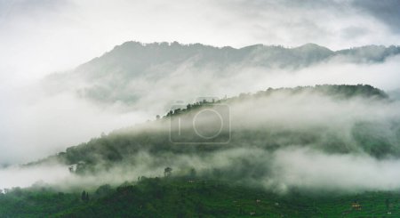 Photo for Beautiful picture of Bhutan. Nature, travel background - Royalty Free Image