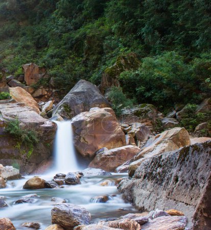 Téléchargez les photos : Grand ruisseau dans la forêt verte du Bhoutan - en image libre de droit