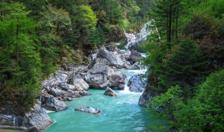 Téléchargez les photos : Grand ruisseau dans la forêt verte du Bhoutan - en image libre de droit