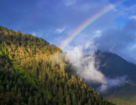 Téléchargez les photos : Paysage de montagne, nature du Bhoutan - en image libre de droit