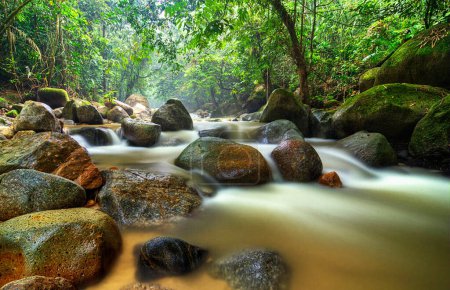 Foto de Malaysia nature scenic view - Imagen libre de derechos