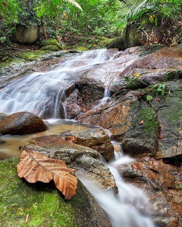 Téléchargez les photos : Malaysia nature scenic view - en image libre de droit
