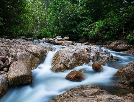 Foto de Malaysia nature scenic view - Imagen libre de derechos