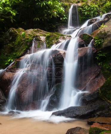 Téléchargez les photos : Malaisie nature vue panoramique - en image libre de droit