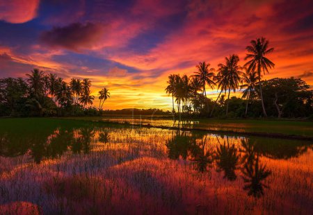 Téléchargez les photos : Malaysia nature scenic view - en image libre de droit