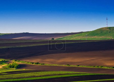 Foto de Hermoso paisaje con campo y un cielo azul - Imagen libre de derechos