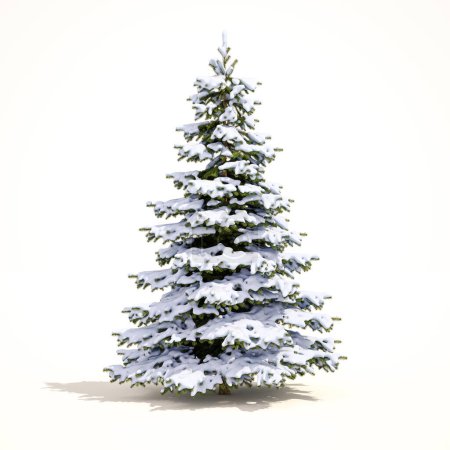 Téléchargez les photos : "Arbre à neige de Noël blanc
" - en image libre de droit